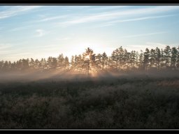 IMGP2914-Morgenstemning-over-Kongenshus